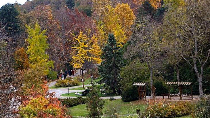 Tarım ve Orman Bakanlığı'ndan 'Belgrad' açıklaması
