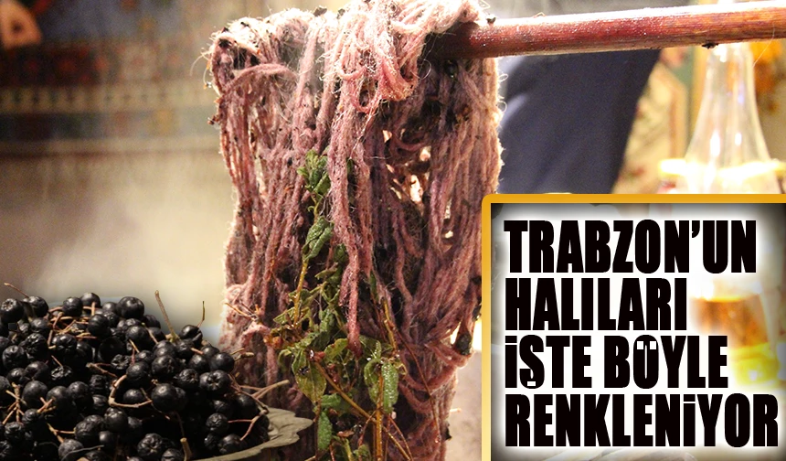 Süper Meyve Aronya, Trabzon’un Halılarına Renk Katıyor