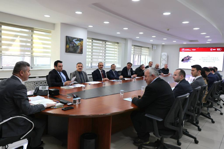 Artvin'de 'kahverengi kokarca' tehdidine karşı mücadele