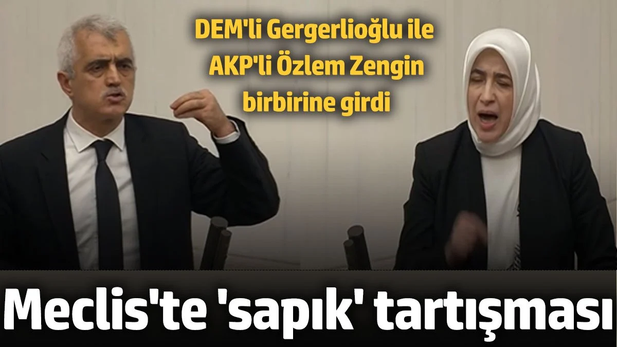 Meclis'te 'sapık' tartışması DEM'li Gergerlioğlu ve AKP'li Özlem Zengin birbirine girdi