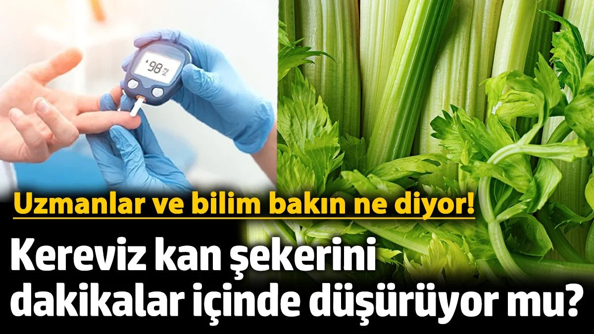 Kereviz kan şekerini dakikalar içinde düşürüyor mu? Uzmanlar ve bilim bakın ne diyor!