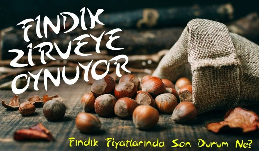 Fındığını Bu İlden Satan En Az 10 TL Kâr Edecek: Yeni Yılda Zam Mı Geliyor?