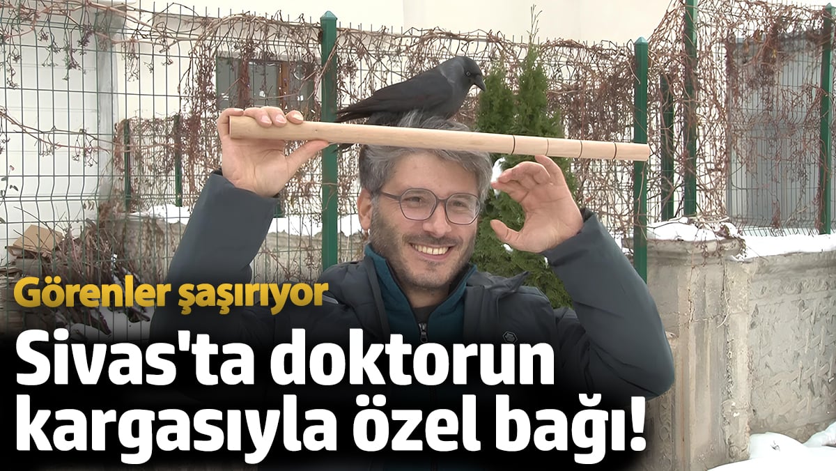 Doktor ve Kargasının Özel Dostluğu: Jackoo Tüm Dikkatleri Üzerine Çekiyor