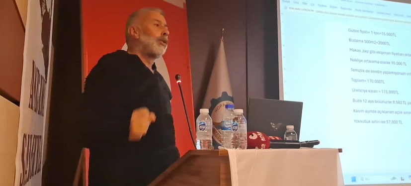 Umut-Sen, Hopa'da 