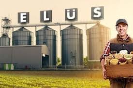 ELÜS zorunlu belgeler kapsamına alındı