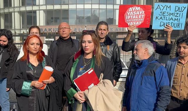 İstanbul Bakırköy'de köpeğe istismar davası sonuçlandı!