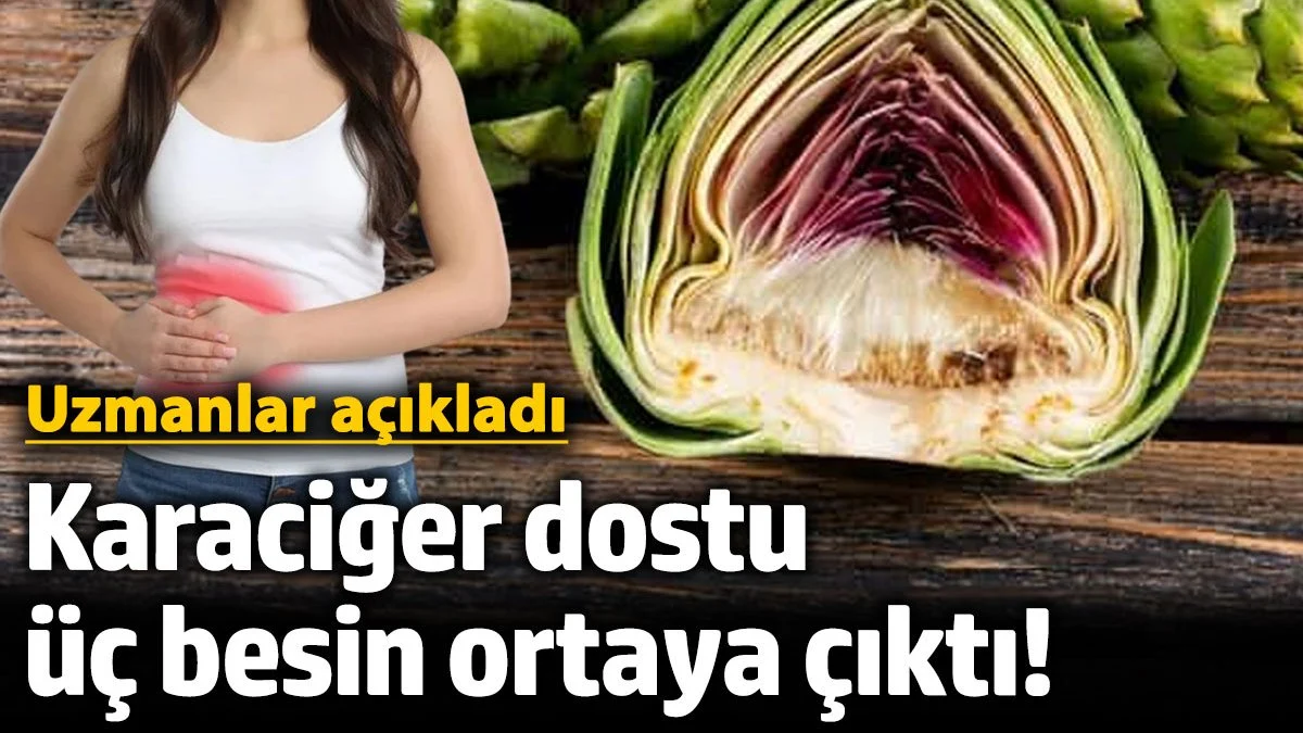 Karaciğer dostu üç besin ortaya çıktı! Uzmanlar açıkladı