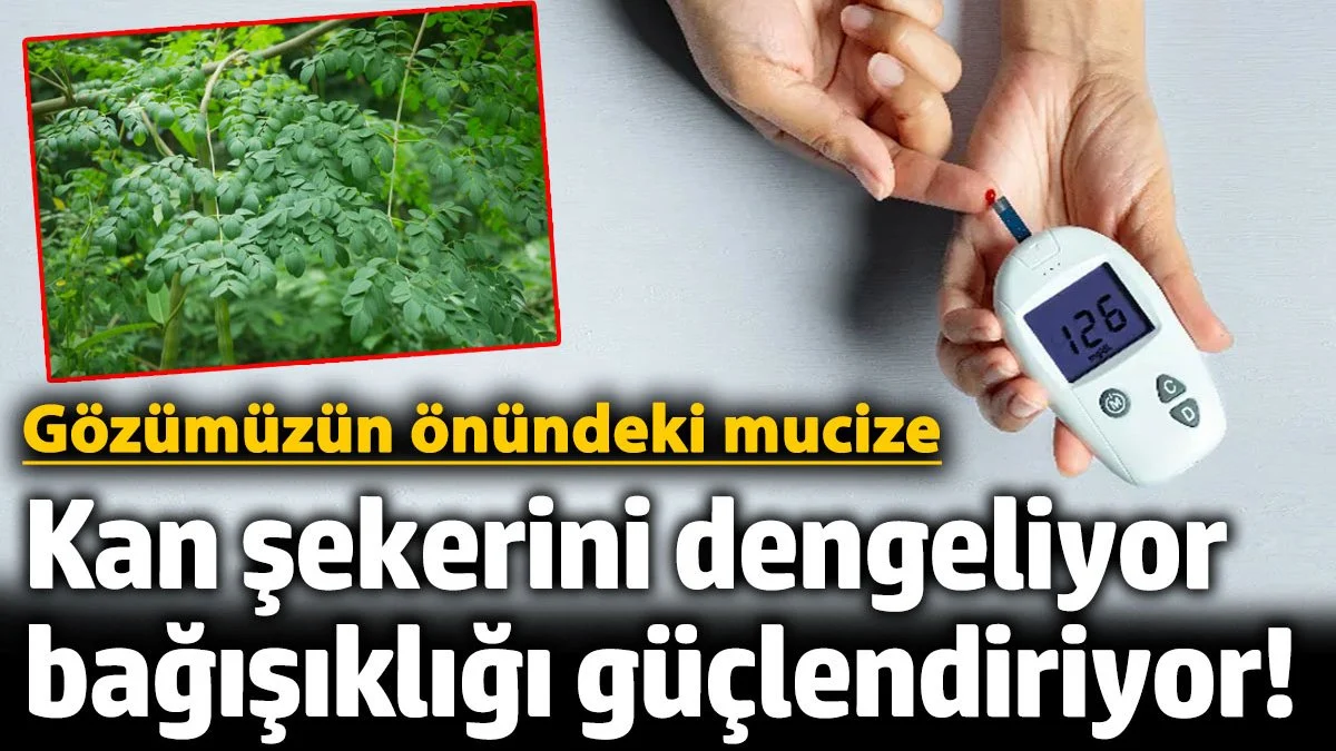 Kan şekerini dengeliyor, bağışıklığı güçlendiriyor! İşte gözümüzün önündeki mucizevi bitki