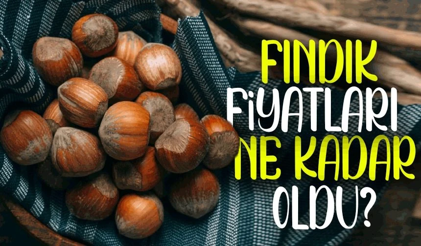 Fındık Fiyatları Uçuşa Geçti! İşte Güncel Piyasa Fiyat Tablosu
