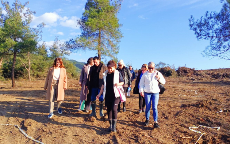 Mudanya Kent Konseyi'nden doğal yaşam alanına yakın mercek