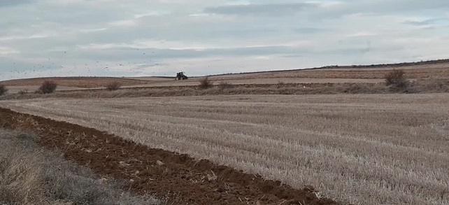 Yozgat’ta kuraklık çiftçiyi endişelendirmeye başladı: 