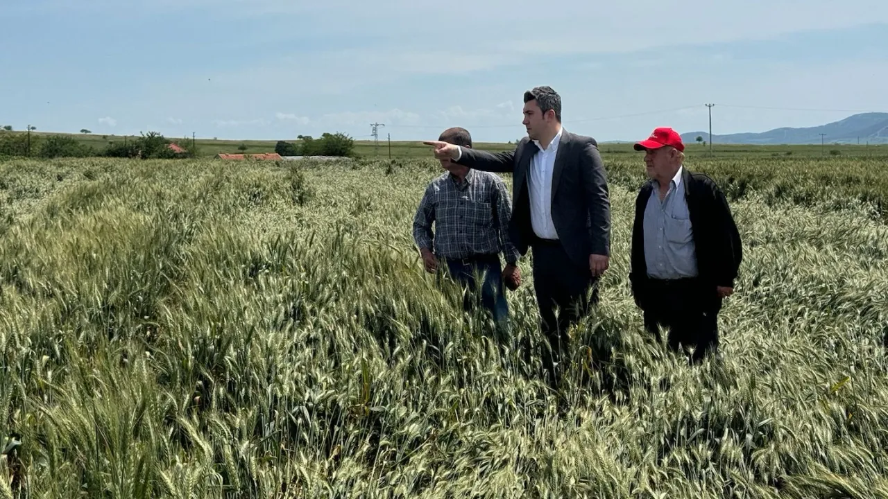 CHP Keşan’dan 6 aydır ödenmeyen buğday desteklemelerine tepki