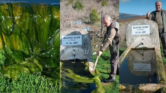 Çanakkale'de yaban hayatı için sulak ve çeşmeler temizleniyor