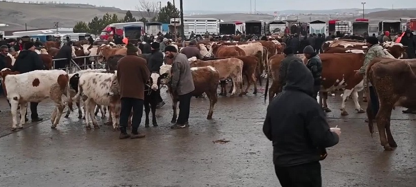 Şap hastalığı nedeniyle Çorum'dan sonra Yozgat'ta da tedbir amaçlı canlı hayvan pazarları kapatıldı