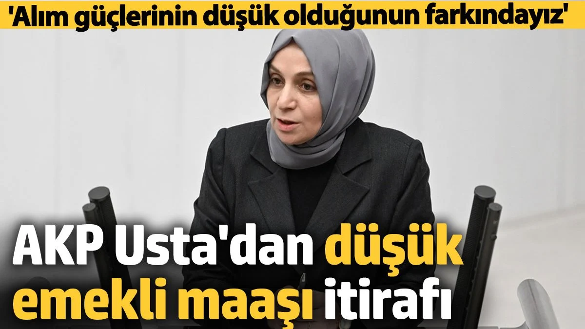 AKP Usta'dan en düşük emekli maaşı itirafı
