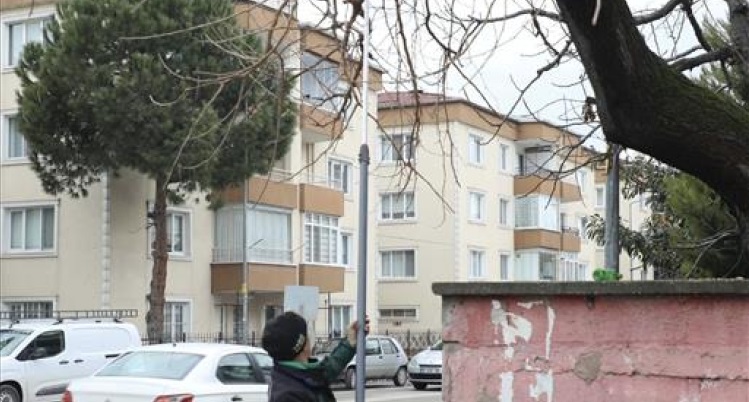 Bursa İnegöl'de ağaç budama çalışmaları sürüyor