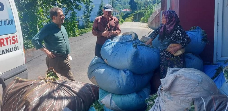 CHP Rize İl Başkanı Saltuk Deniz’den Çay İçin Ortak Çalışma Çağrısı