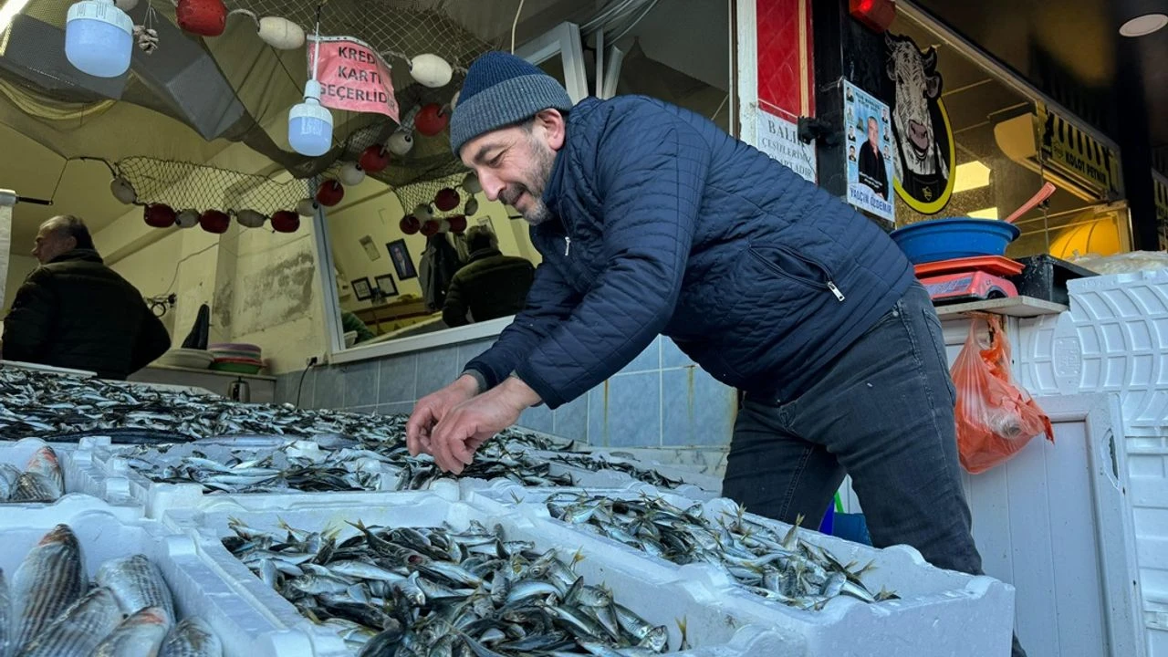 Sibirya Soğukları Hamsiye Yaradı, Mezgitte Düşüş Yaşandı