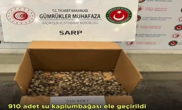 Sarp Gümrük Kapısı’nda 910 Adet Su Kaplumbağası Kaçakçılığı Önlendi