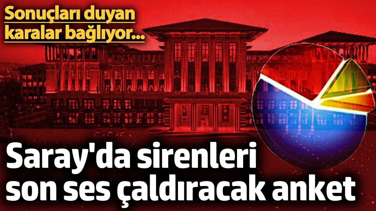 Saray'da sirenleri son ses çaldıracak anket! Sonuçları duyan karalar bağlıyor...