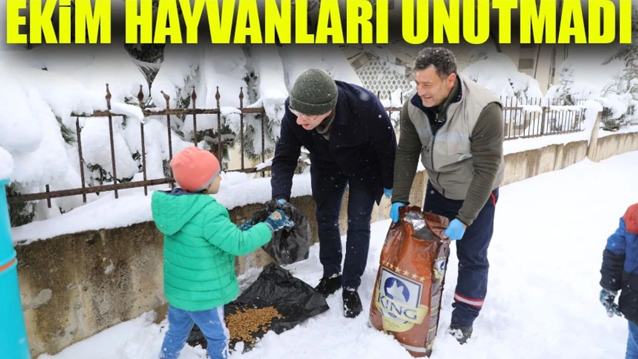 Başkan Osman Nuri Ekim’den Örnek Davranış: Sokak Hayvanlarına Destek
