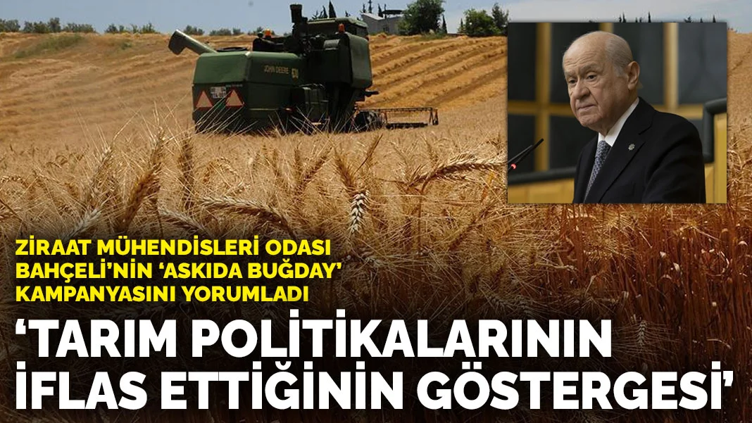 Ziraat Mühendisleri Odası Bahçeli’nin ‘Askıda Buğday’ kampanyasını yorumladı