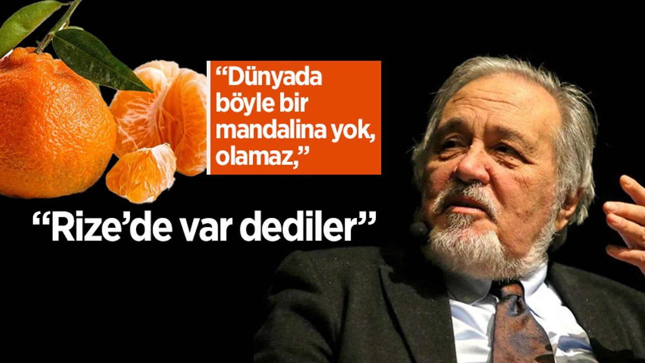 İlber Ortaylı’dan Rize Mandalinasına Övgü: “Dünyanın En İyisi”