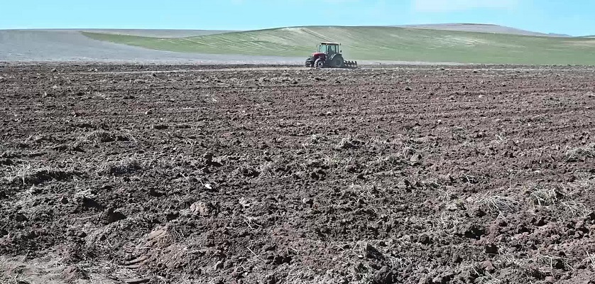 Yozgat’ta destek ödemesini alamayan çiftçi, tarlasını borçlanarak ekmeye başladı