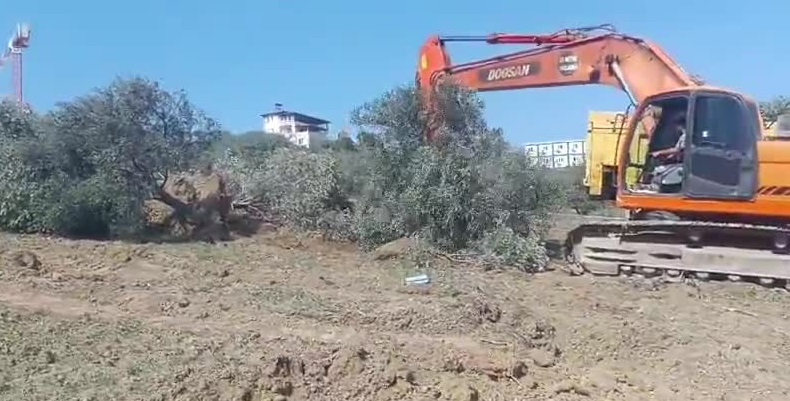 Arazilerine el konulmasına tepki gösterdiği için gözaltına alınan Dikmeceli köylüler mahkemeye sevk edildi