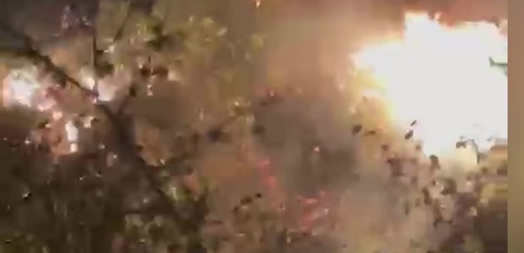 Giresun’da orman yangını