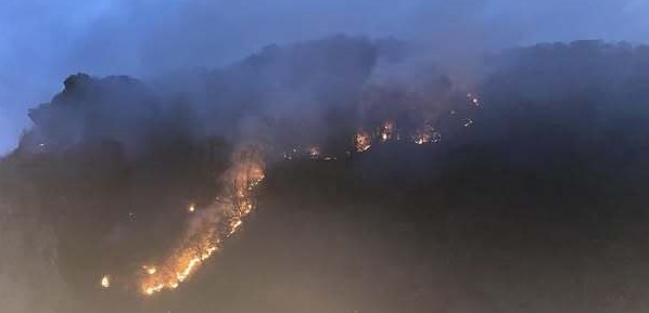 Giresun’daki orman yangını kontrol altına alındı