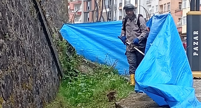 Pazar Belediyesi’nden Yaz Temizliği Hamlesi: “Tertemiz Bir Pazar İçin Sahadayız”