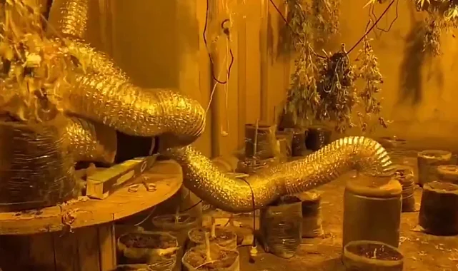 Bursa’da Jandarmadan uyuşturucu tacirlerine büyük darbe