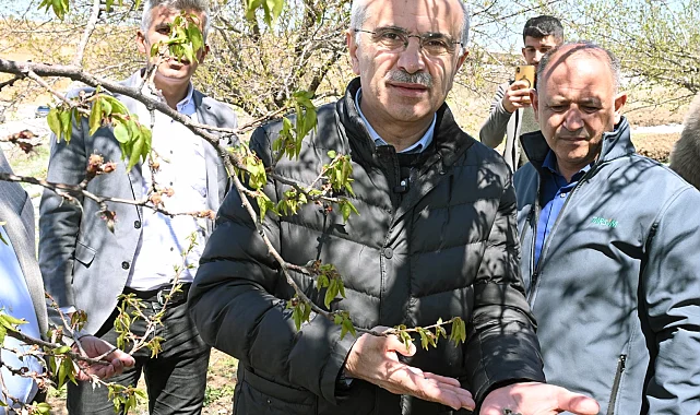 Malatya'da kar ve don mağduriyeti incelemesi