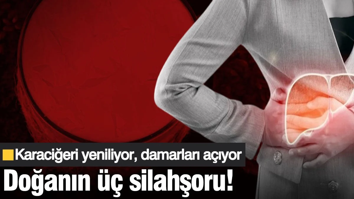 Doğanın üç silahşoru! Karaciğeri yeniliyor, damarları açıyor