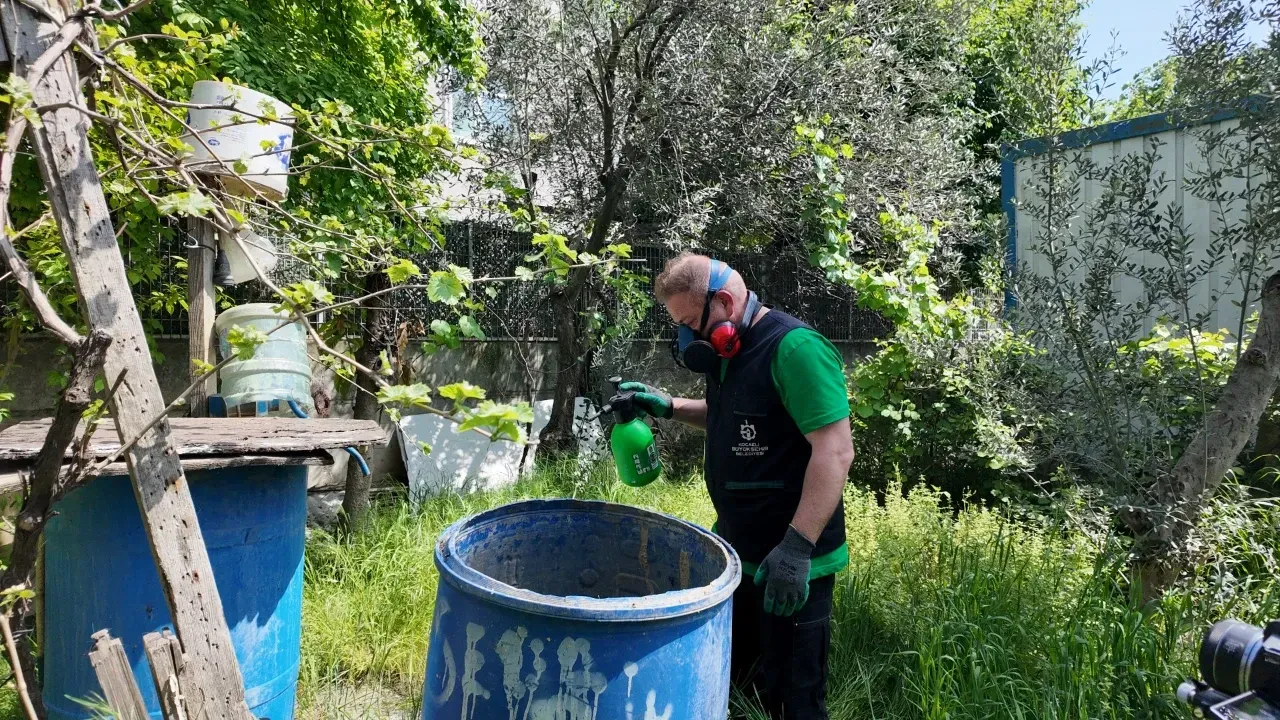 Büyükşehir, sivrisineksiz bir yaz için çalışıyor