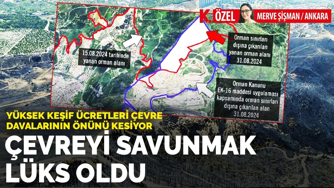 Çevreyi savunmak lüks oldu