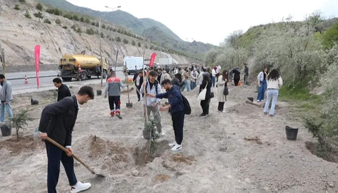 Kayseri Melikgazi'nin yeşil dokusu güçleniyor