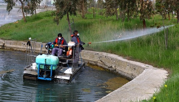 İstanbul'da sivrisinekle mücadelede önlemler arttı