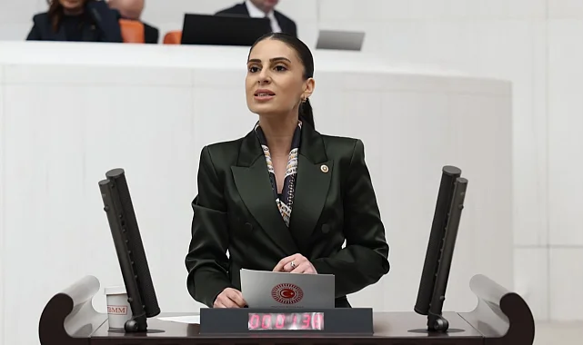 Milletvekili Özcan'dan sokak hayvanları için Bakan Yumaklı’ya önerge