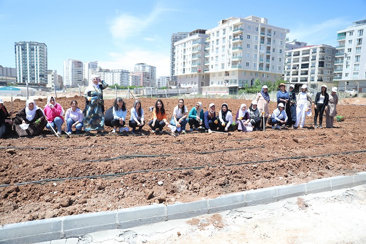 Kent Kadın Bostanları projesi Mardin Artuklu’da hayata geçti