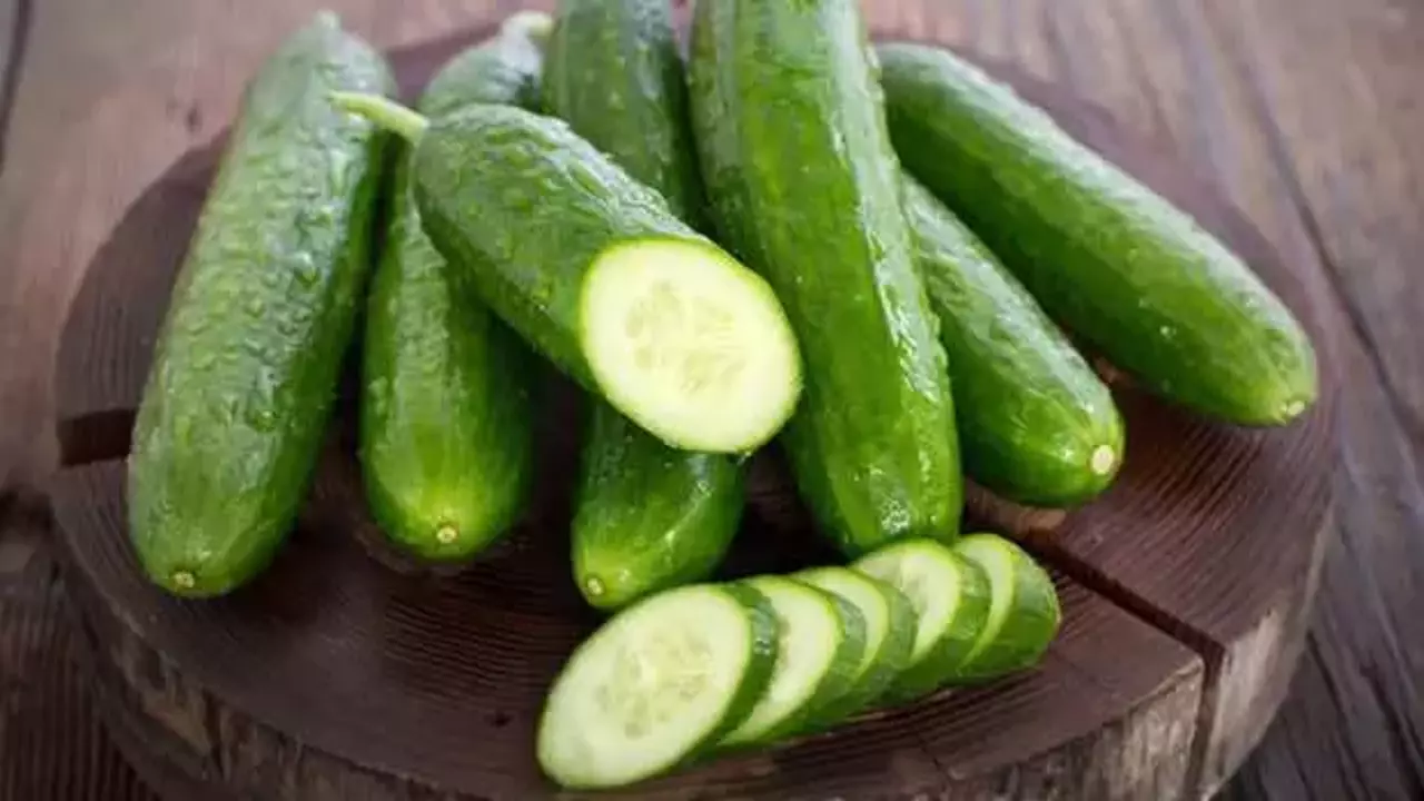 ABD’de salmonella alarmı! O salatalıklar toplatılıyor!