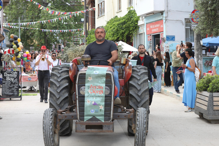Bursa Mudanya'da zeytinin bereketi Tirilye sokaklarına taştı
