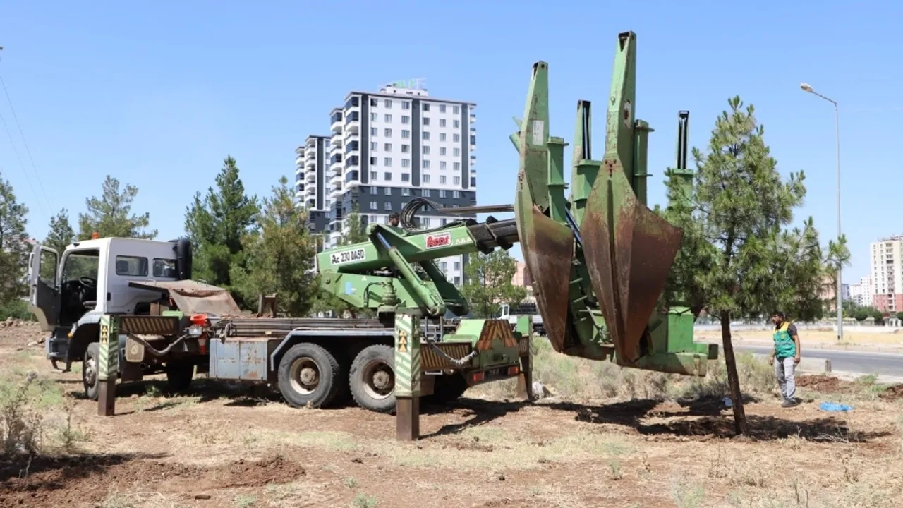 Diyarbakır'dan ağaçlara saygı duruşu