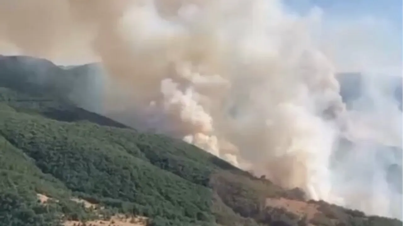 İzmir Bergama’daki yangın kontrol altında... Bilecik ve Sakarya’da müdahale sürüyor