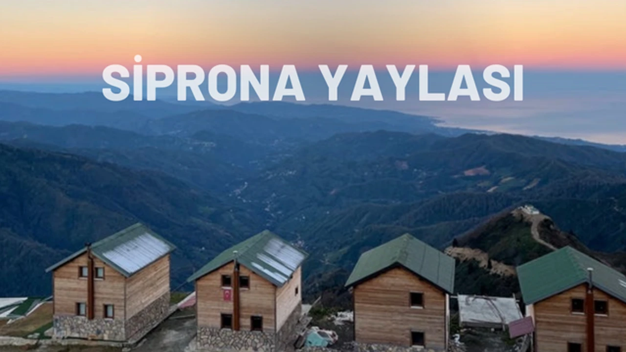 Siprona Yaylası: Karadeniz’in Yükseklerinde Bir Doğa Cenneti