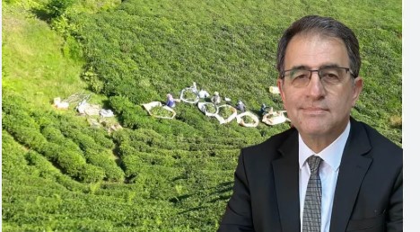Saltuk Deniz: 