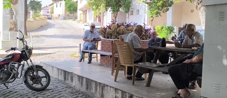 Erken seçim isteyen Adanalı: 