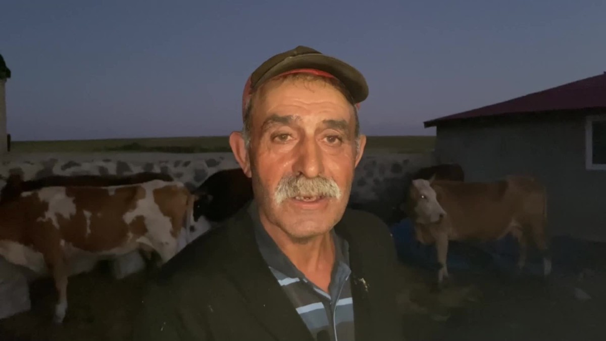 Ardahan'da üreticiler şap hastalığından dert yandı: 