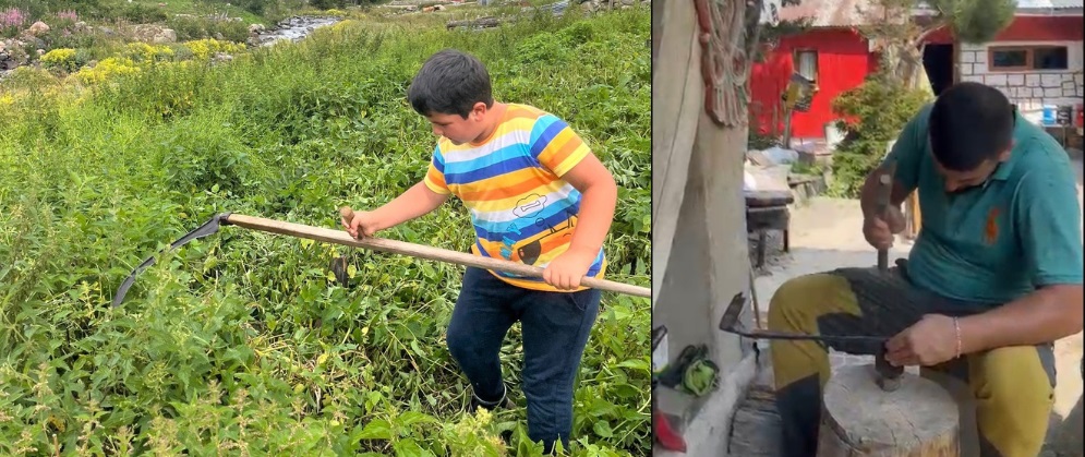 Çiçekli Yayla’da Yaz Mesaisi Başladı: Sinan Usta ve Oğlu Halil Tırpanla Ot Biçiyor
